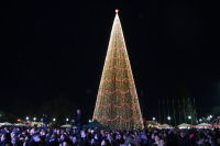 В Сухуме открыли главную новогоднюю елку страны