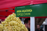 Фестиваль национальной кухни: фотоотчет